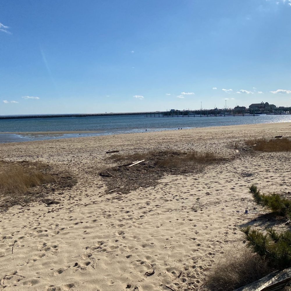 CinnamonSandsEast_Five